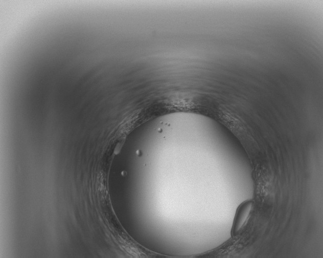 X0000059820518200510281735