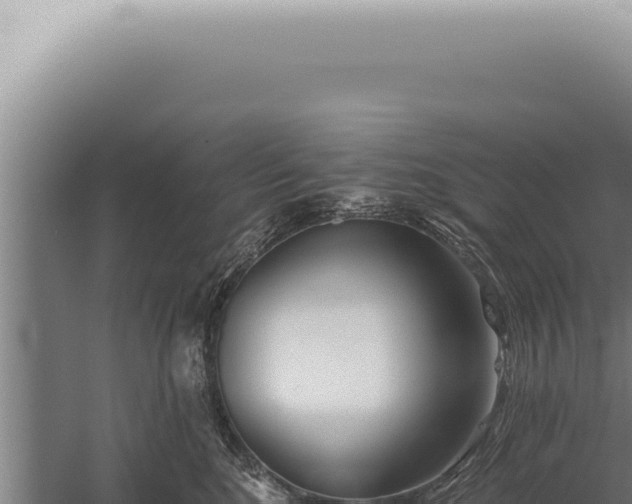 X0000059820520200510281735