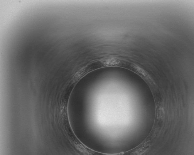 X0000059820521200510281735