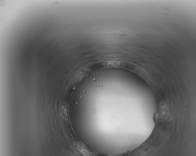 X0000059820522200510281735