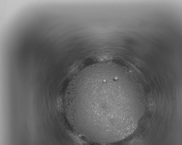 X0000059820523200510281735