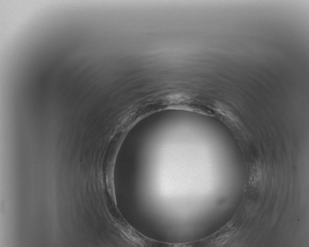 X0000059820524200510281735