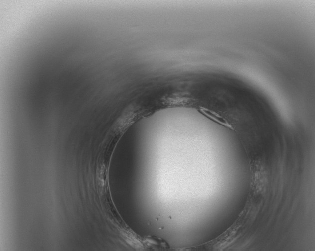 X0000059820525200510281735