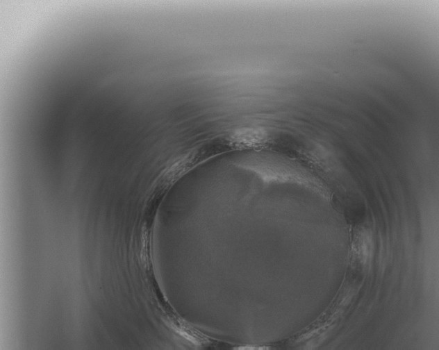 X0000059820526200510281735