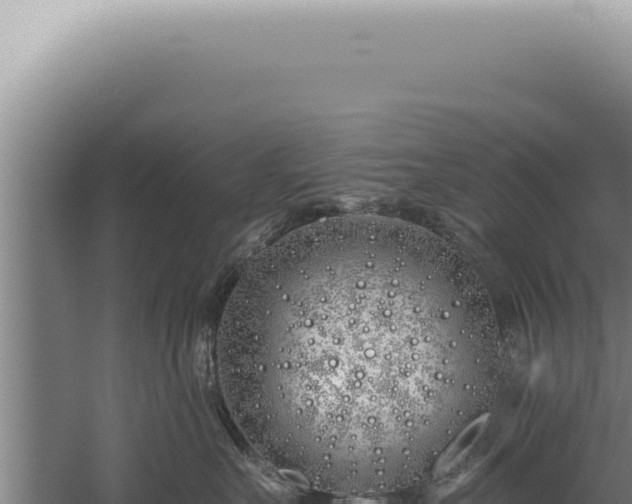 X0000059820527200510281735