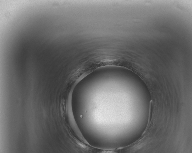 X0000059820528200510281735