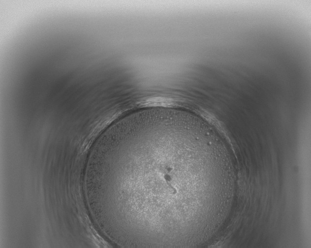 X0000059820529200510281734