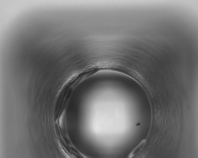 X0000059820530200510281734