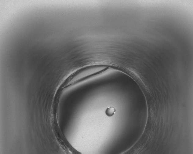 X0000059820532200510281734