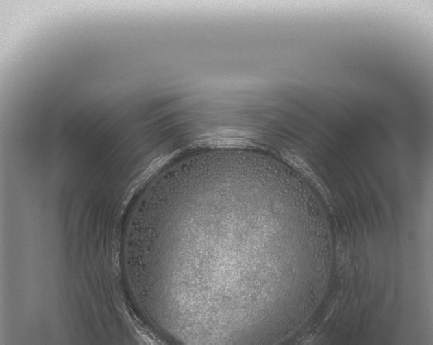 X0000059820533200510281734