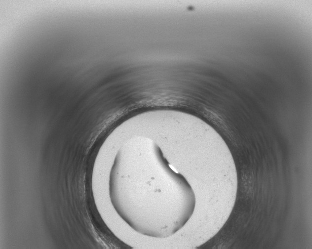 X0000059820534200510281734