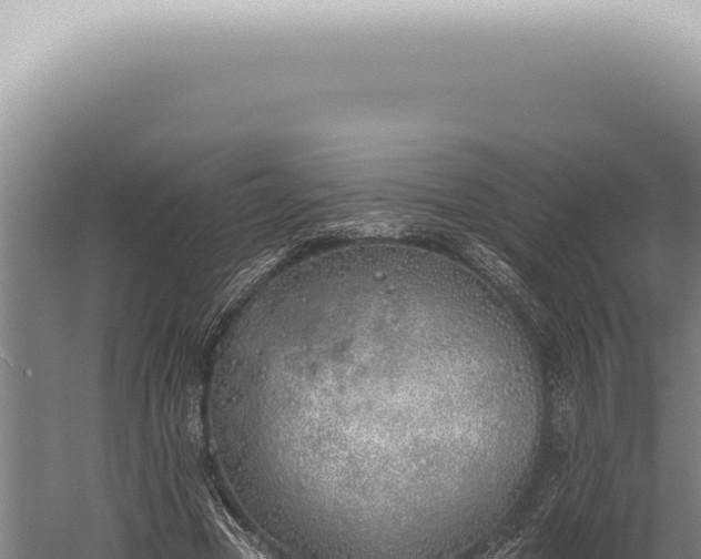 X0000059820537200510281734