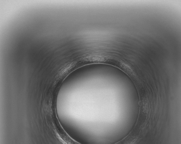 X0000059820538200510281734