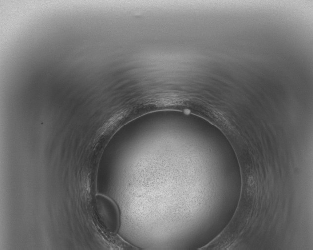 X0000059820539200510281734