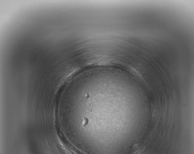 X0000059820542200510281734