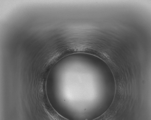 X0000059820543200510281734