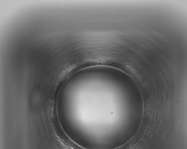 X0000059820544200510281734