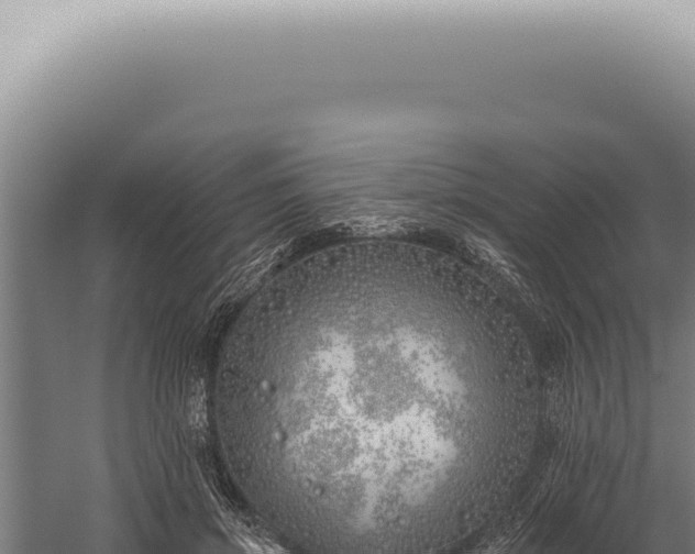 X0000059820549200510281734