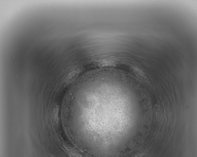 X0000059820550200510281734