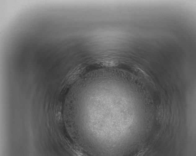 X0000059820553200510281734