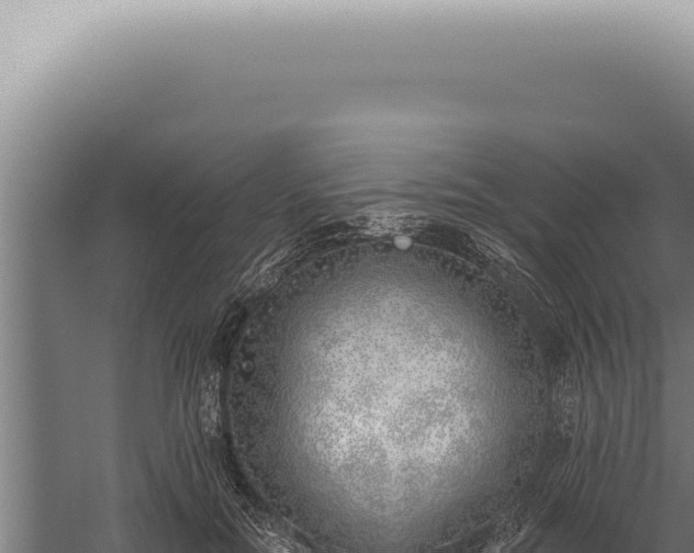 X0000059820554200510281734