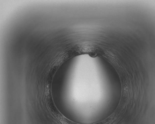 X0000059820555200510281734