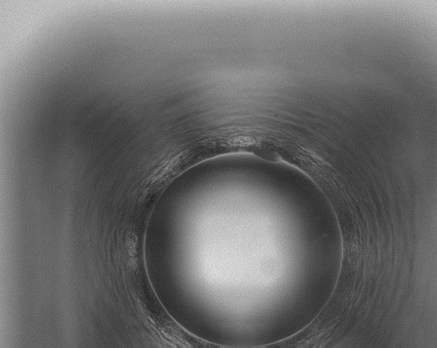 X0000059820556200510281734