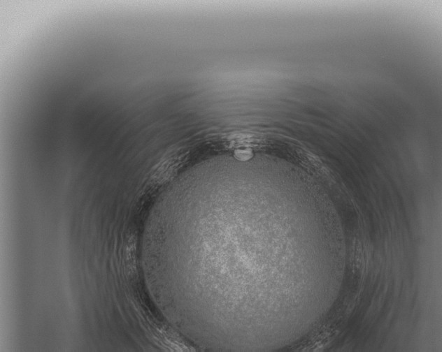 X0000059820557200510281734