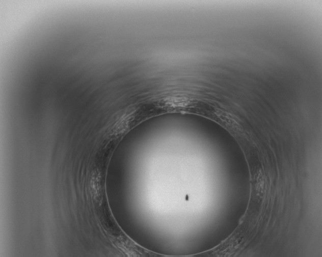 X0000059820559200510281734