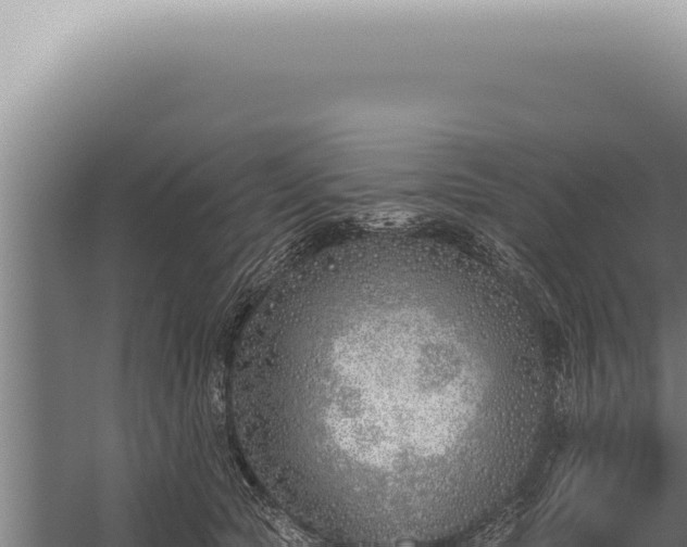 X0000059820561200510281734