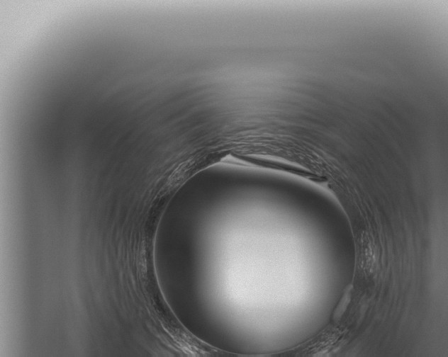 X0000059820562200510281734