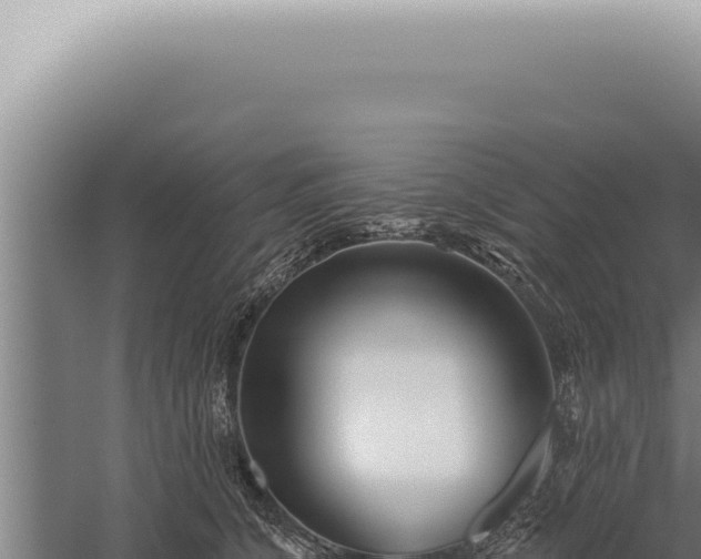 X0000059820564200510281734