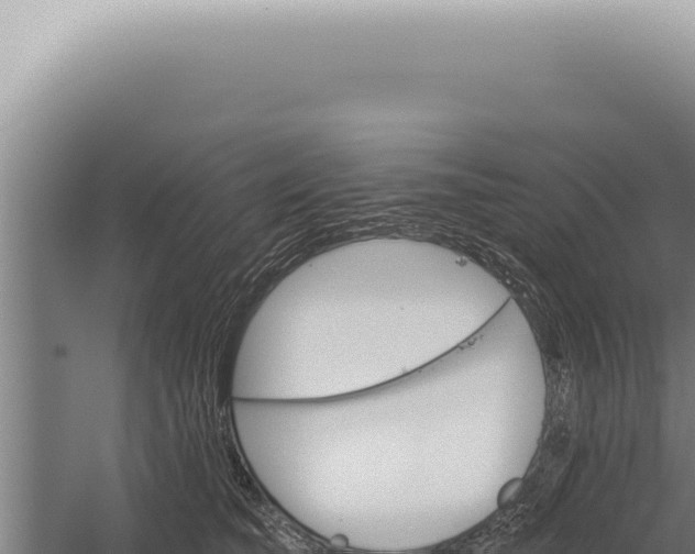 X0000059820565200510281734