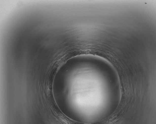 X0000059820566200510281734