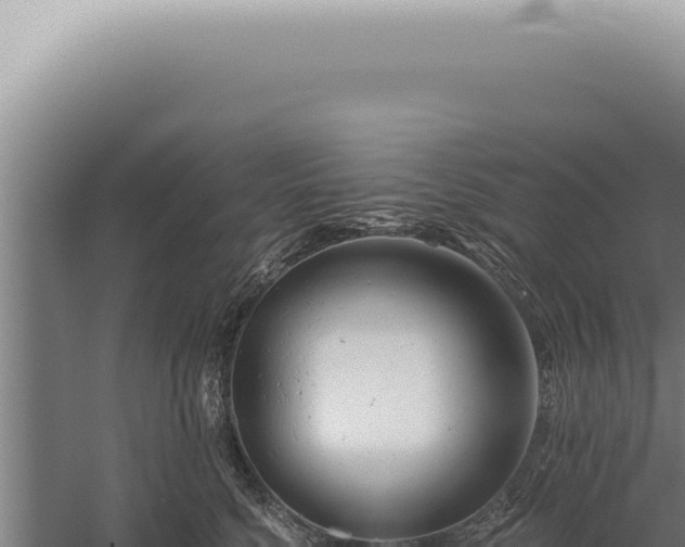 X0000059820568200510281734