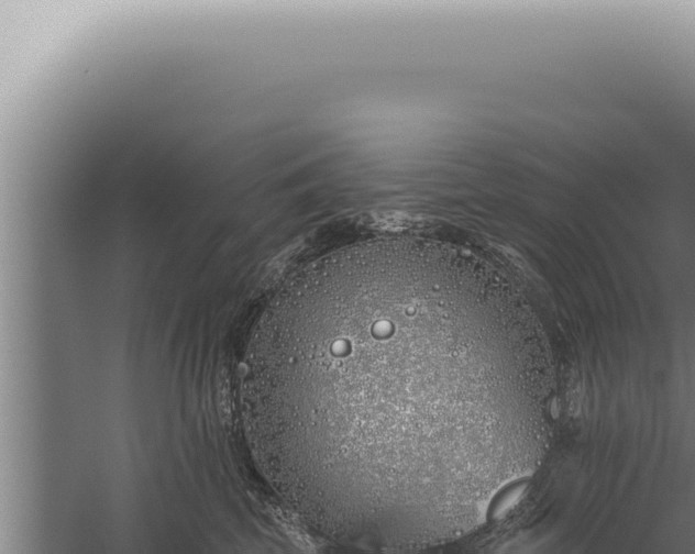 X0000059820569200510281734