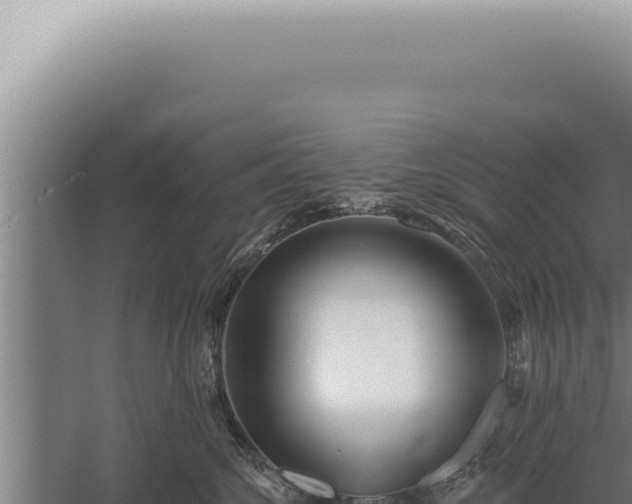 X0000059820572200510281735