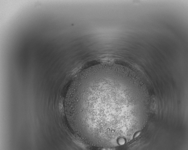 X0000059820573200510281735