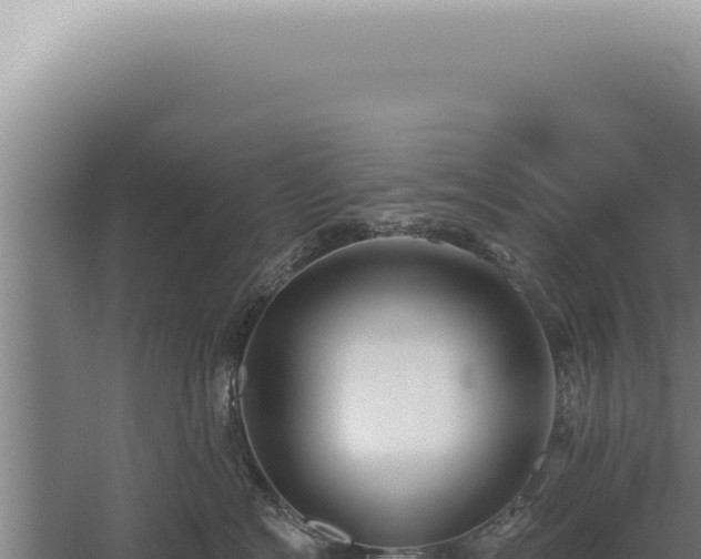 X0000059820574200510281735