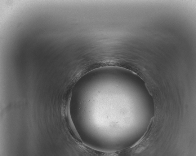 X0000059820576200510281735