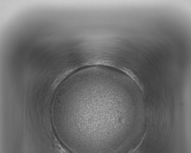 X0000059820577200510281734