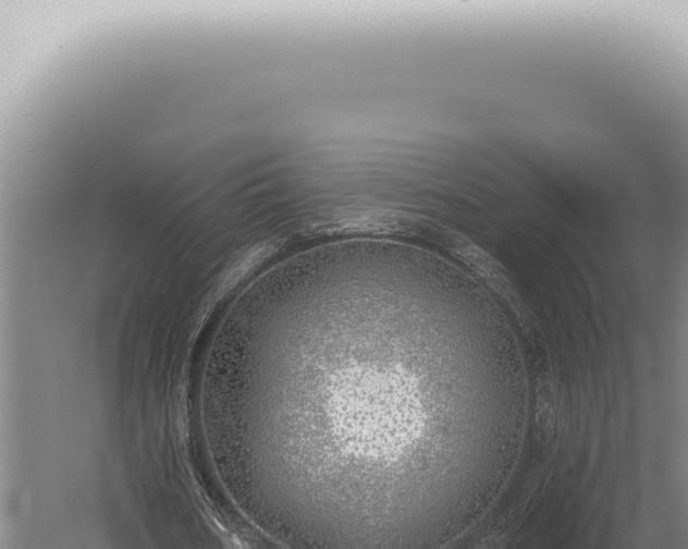 X0000059820578200510281734