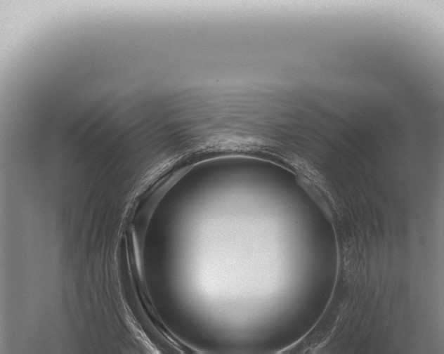 X0000059820581200510281734