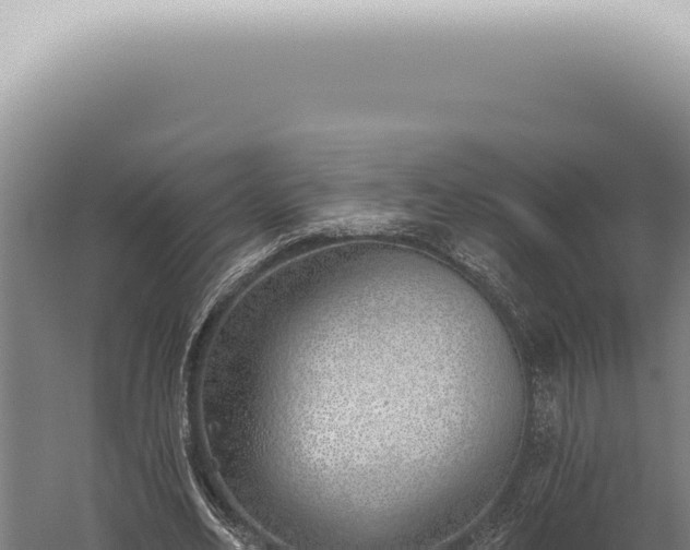 X0000059820582200510281734