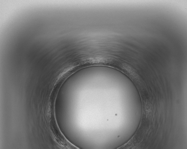 X0000059820583200510281734