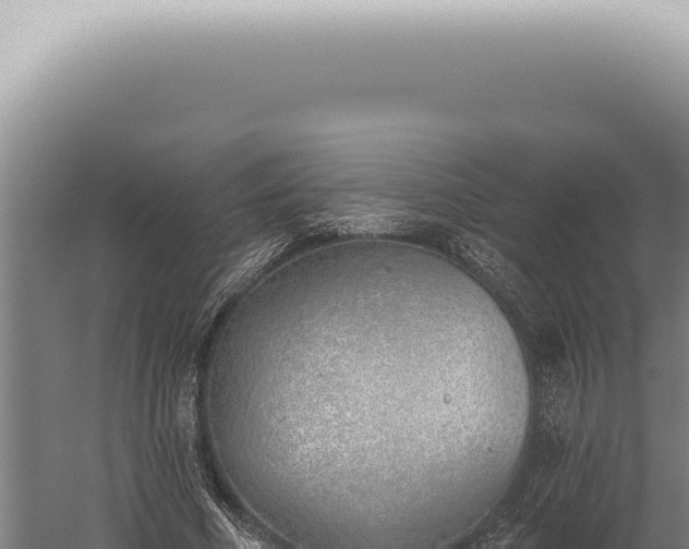 X0000059820586200510281734