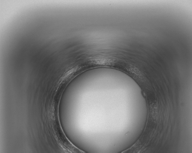 X0000059820587200510281734