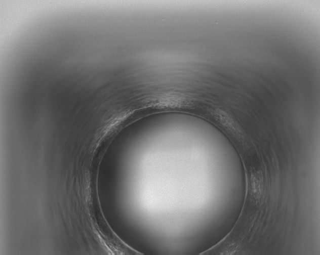 X0000059820588200510281734