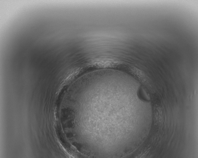 X0000059820590200510281734