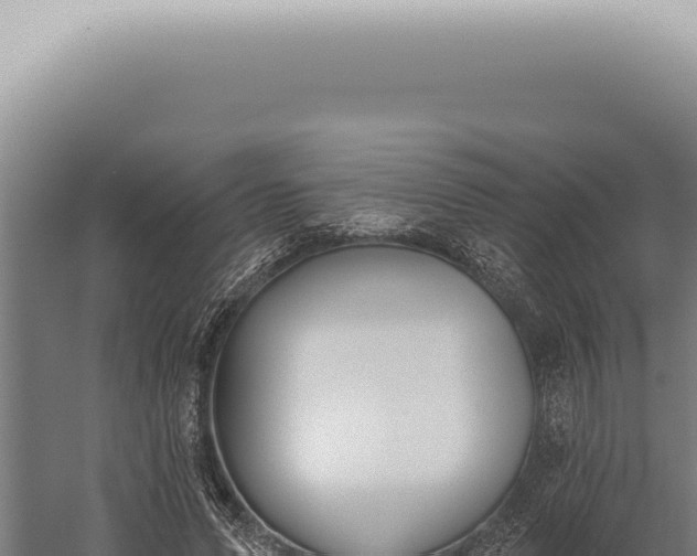 X0000059820591200510281734